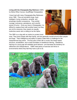 Living with the Chesapeake Bay Retriever (CBR)