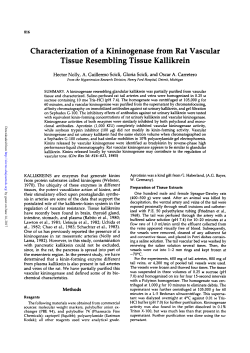 Characterization of a Kininogenase from Rat Vascular Tissue
