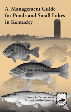 A Management Guide for Ponds and Small Lakes in