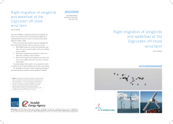Night migration of songbirds and waterfowl at the