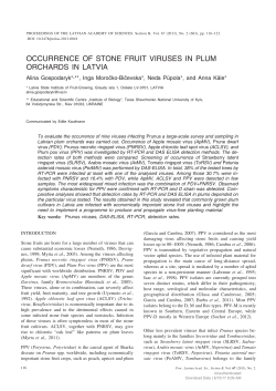 OCCURRENCE OF STONE FRUIT VIRUSES IN PLUM ORCHARDS