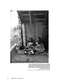 Indigenous Culture and Architecture in the South Pacific