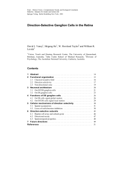 Direction-Selective Ganglion Cells in the Retina
