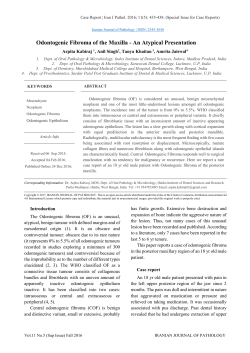 Odontogenic Fibroma of the Maxilla
