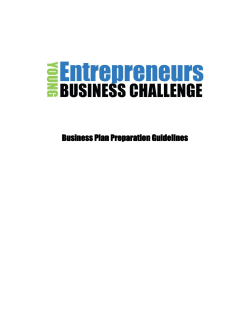 Business Plan Preparation Guidelines
