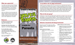 Understanding Youth Gangs
