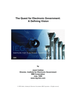 The Quest for Electronic Government