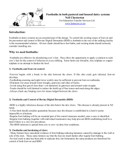Footbaths in pastoral systems - Dairy Cow Lameness Management