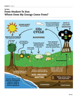 From Student To Sun Where Does My Energy Come