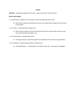 Imagery Definition: Language that appeals to the senses: sight