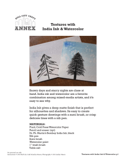 BCC Textures with India Ink and Watercolor