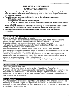 Blue badge &ndash; large guidance notes
