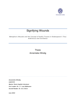 Master thesis English