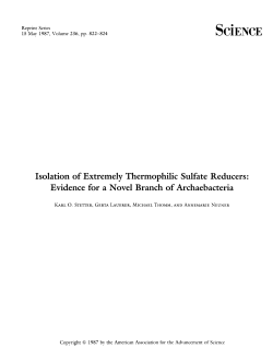 SdENCE Isolation of Extremely Thermophilic Sulfate Reducers