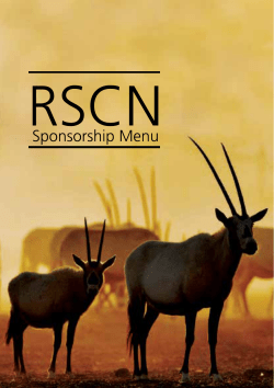Sponsorship Menu