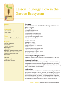 Lesson 1: Energy Flow in the Garden Ecosystem