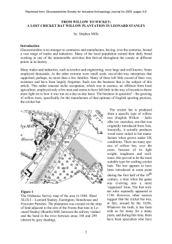 from willow to wicket: a lost cricket bat