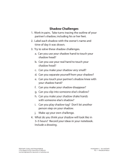 Shadow Challenges