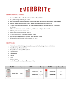 EVERBRITE PROTECTIVE COATING