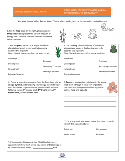 Amoeba Sisters: Video REcap