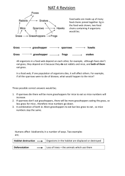 Unit 3 - Life on Earth