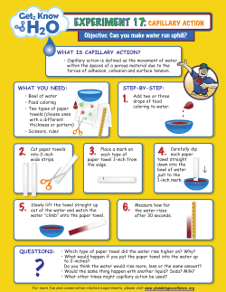 EXPERIMENT 17: CAPILLARY ACTION