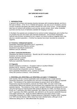 overview of the biology of the Scottish bat species