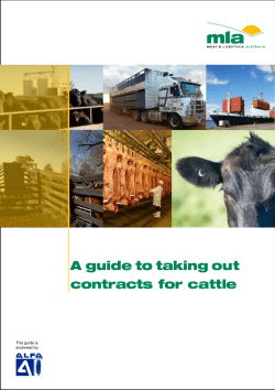 A guide to taking out contracts for cattle