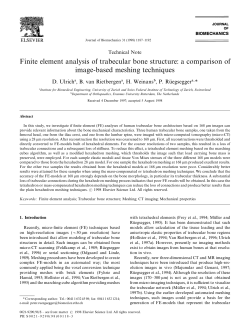 Finite element analysis of trabecular bone structure: a comparison of