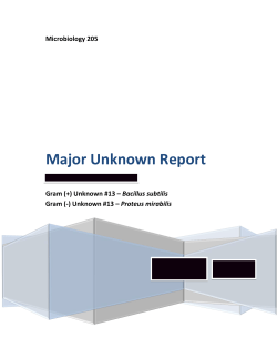 Major Unknown Report