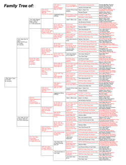 pedigree - Working Aussie Source