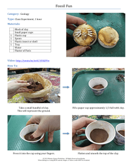 Fossil Fun - Community Science Workshop Network