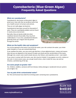 Cyanobacteria (Blue
