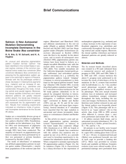 Brief Communications