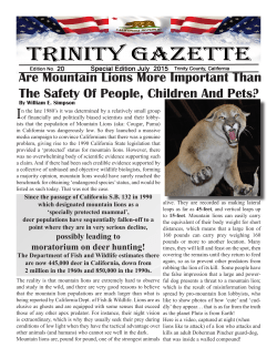 Are Mountain Lions More Important Than The Safety Of People