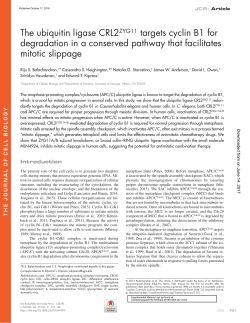 Fig. 1 - The Journal of Cell Biology