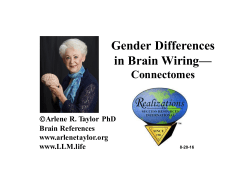 Gender Differences in Brain Wiring
