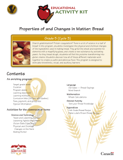 Properties of and Changes in Matter: Bread