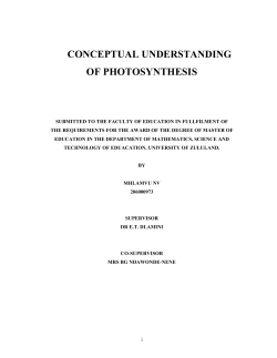 206000973 Mhlamvu NV M.Ed dissertation