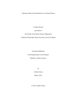 A Business Plan for the Production of Artisanal Cheese