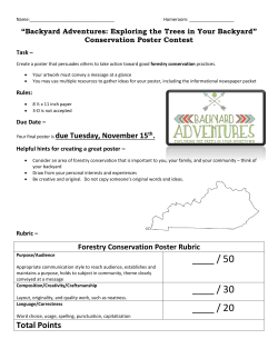 Conservation Poster Rubric