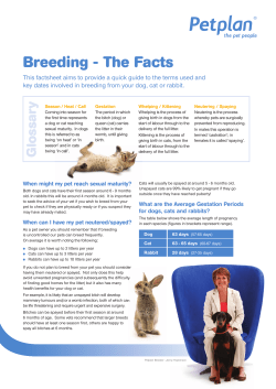 PP 4461 Breeder Factsheets.indd