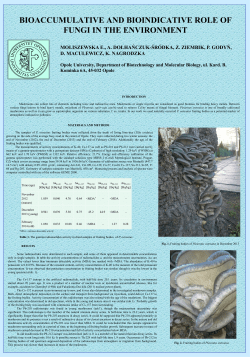 Bioaccumulative and bioindicative role of fungi in the environment