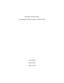 Dissecting a Plantation King