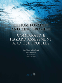 CESIUM FORMATE AND ZINC BROMIDE CESIUM FORMATE AND