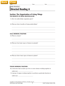 Directed Reading A