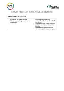 SAMPLE 1 - One Awards