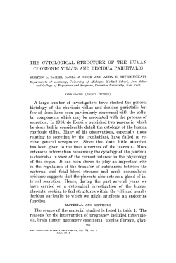 THE CYTOLOGICAL STRUCTURE OF THE HUMAN