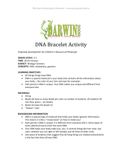 DNA Bracelet Activity