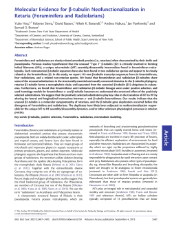 Foraminifera and Radiolarians